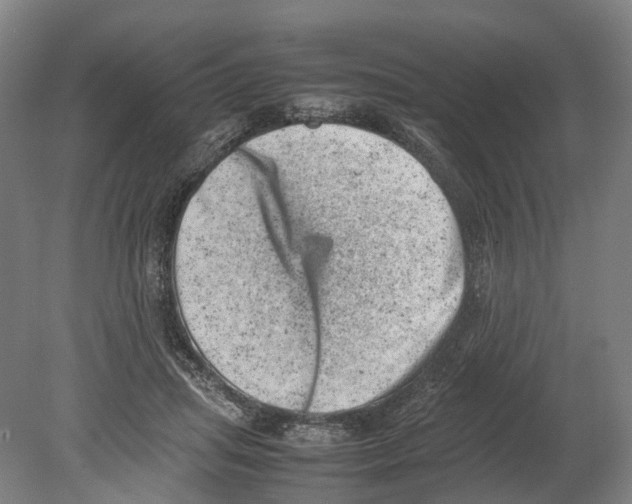 X0000080190455200701051727