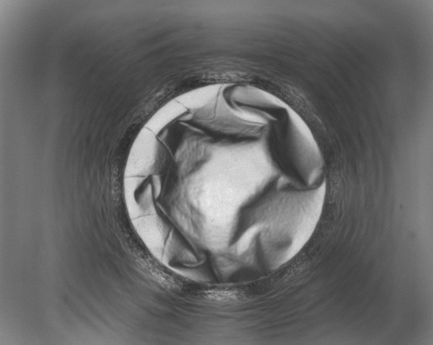 X0000080190457200701051727