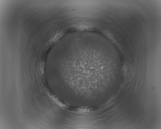 X0000080190458200701051727