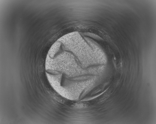 X0000080190464200701051727