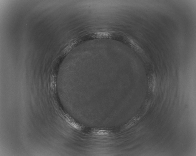 X0000080190467200701051727