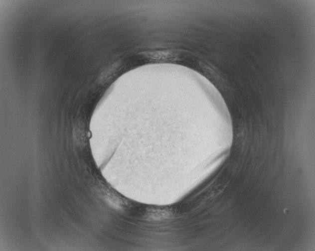 X0000080190469200701051727