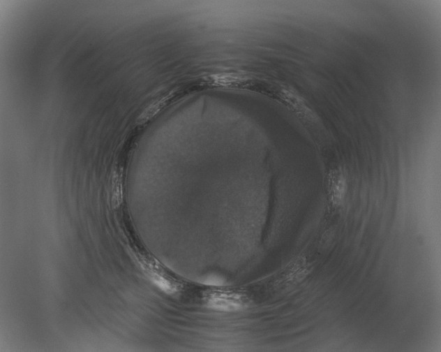 X0000080190471200701051727