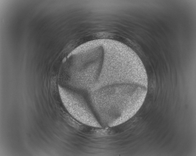 X0000080190473200701051727