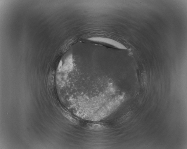 X0000080190475200701051727