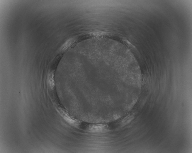 X0000080190479200701051728