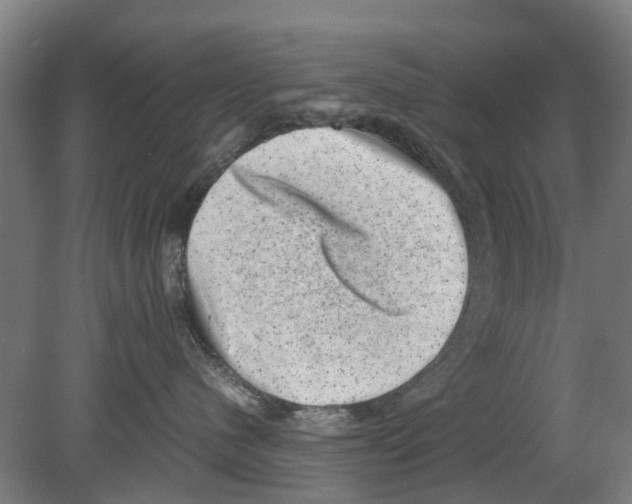 X0000080190480200701051728