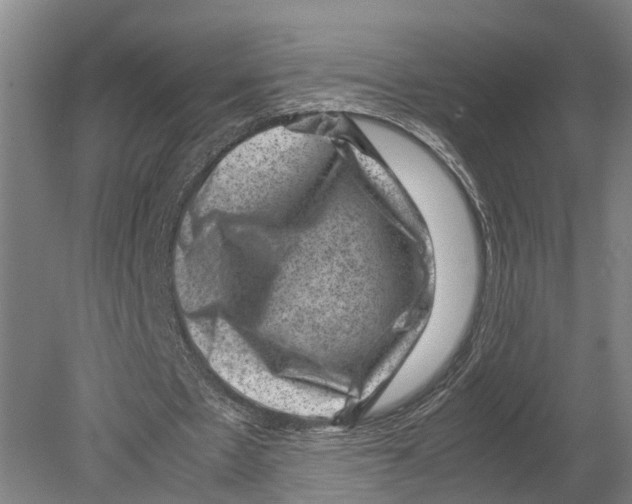 X0000080190481200701051727