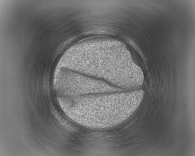 X0000080190482200701051727