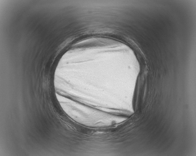 X0000080190483200701051727