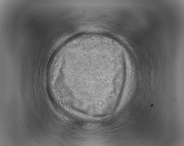 X0000080190487200701051727