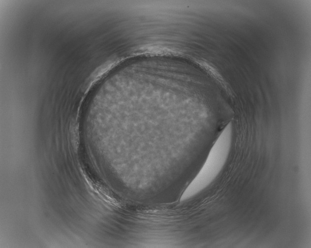 X0000080190488200701051727