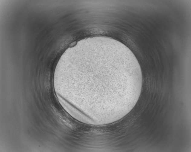 X0000080190490200701051727