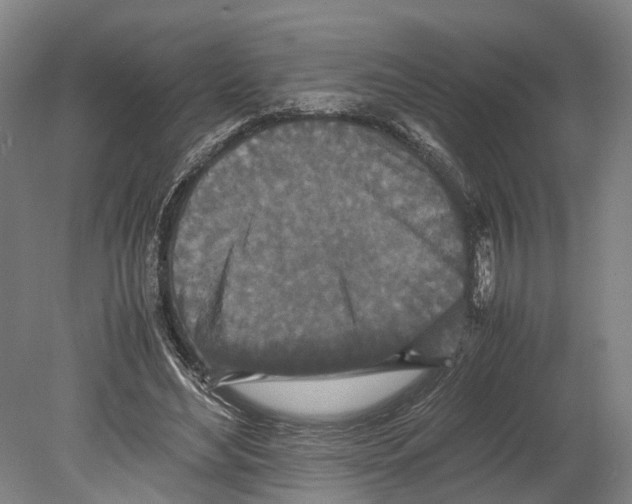 X0000080190492200701051727