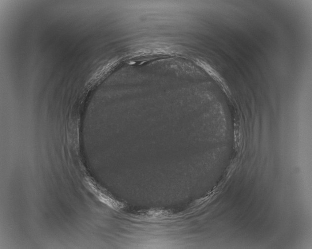 X0000080190493200701051727