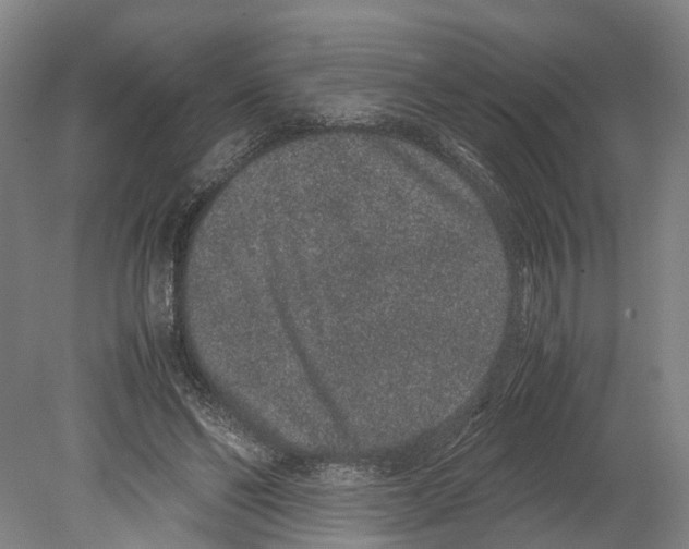 X0000080190494200701051727