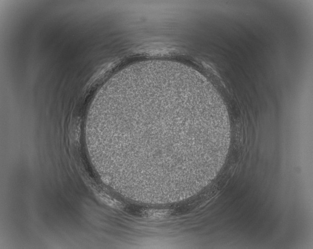 X0000080190495200701051727