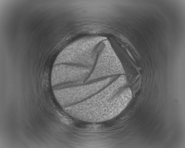 X0000080190497200701051726