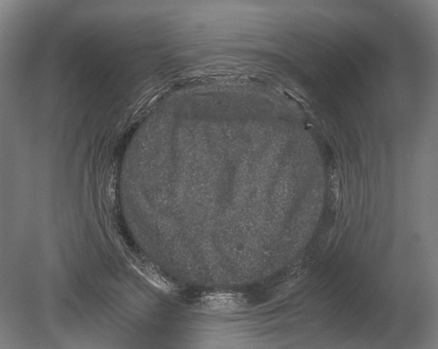 X0000080190499200701051726