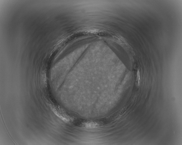 X0000080190500200701051726