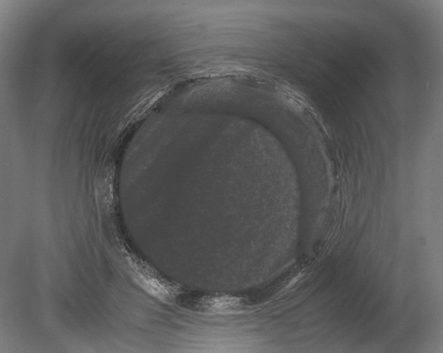 X0000080190501200701051726