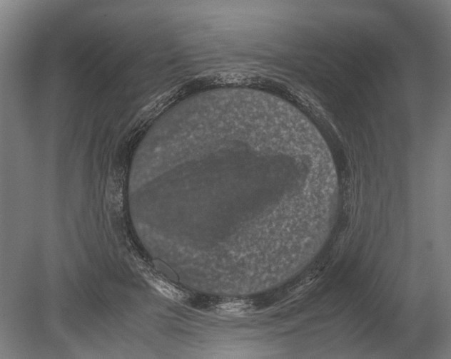 X0000080190505200701051726