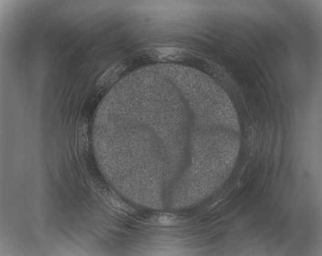 X0000080190506200701051726