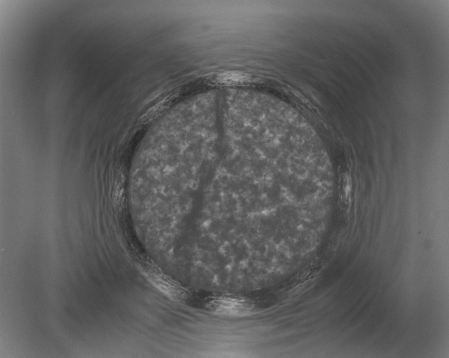 X0000080190507200701051726