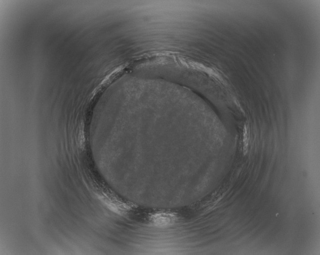 X0000080190508200701051726