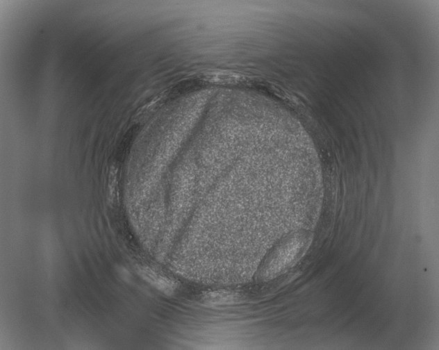 X0000080190511200701051726