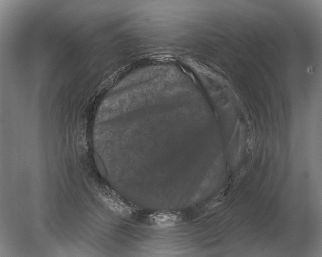 X0000080190512200701051726