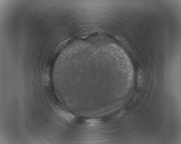 X0000080190516200701051726