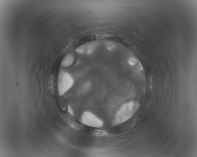 X0000080190519200701051726