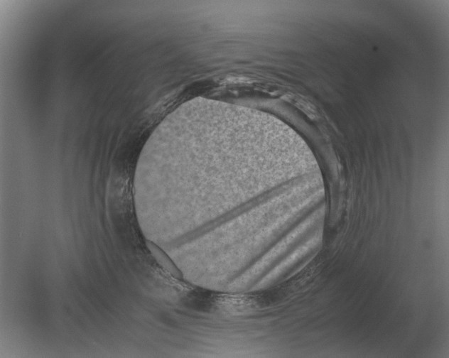 X0000080190521200701051726