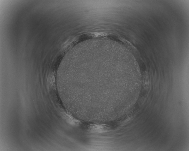 X0000080190523200701051726