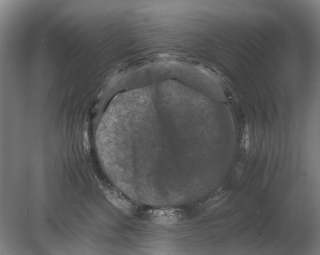 X0000080190524200701051726