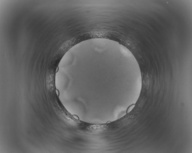 X0000080190526200701051726