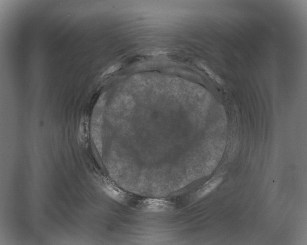 X0000080190528200701051726