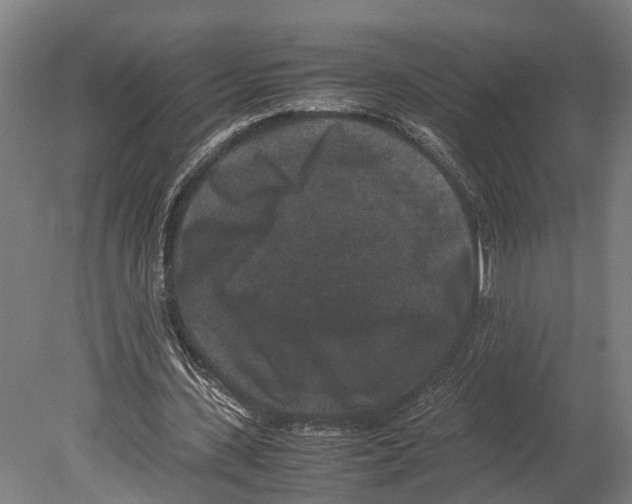 X0000080190531200701051725