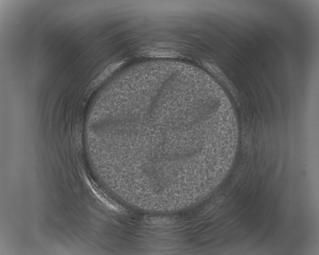 X0000080190533200701051725