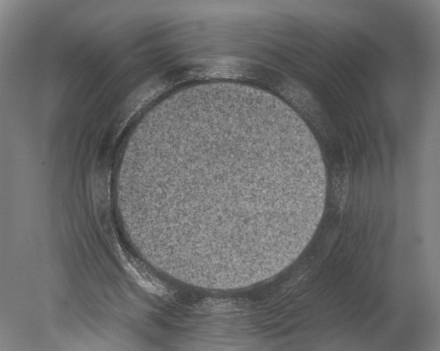 X0000080190534200701051725