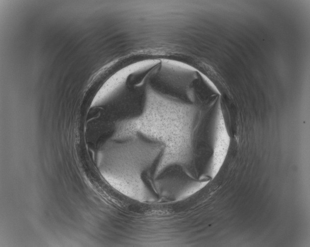 X0000080190536200701051725