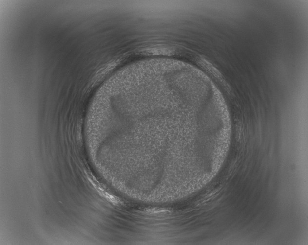 X0000080190537200701051725