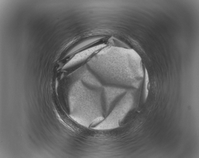 X0000080190538200701051725