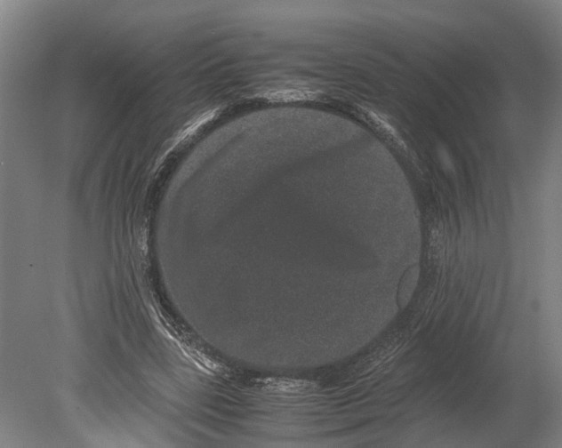 X0000080190539200701051725