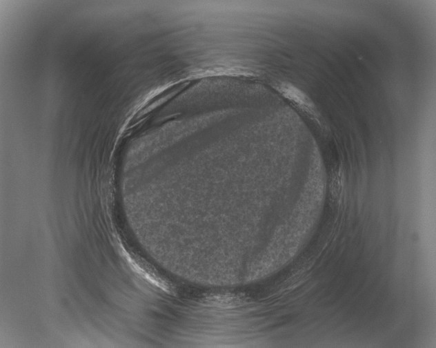 X0000080190540200701051725