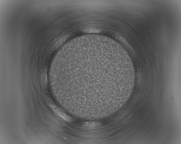 X0000080190541200701051725