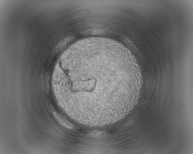 X0000080190542200701051725