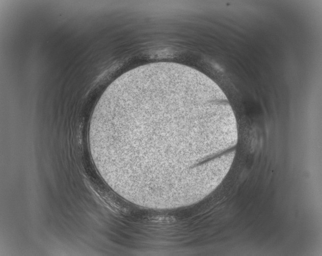 X0000080190543200701051725