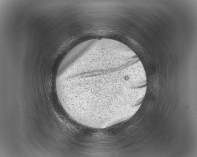 X0000080190544200701051725